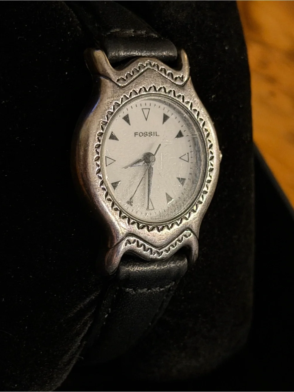 Fossil reposhing this